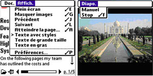 Capture d'ecran du logiciel Adobe Reader 3.0.5 fr - Palm