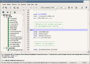 Capture d'ecran du logiciel AsmEditor 3.0 fr