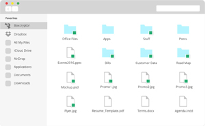 Capture d'ecran du logiciel Boxcryptor 3.11.318 fr - MacOS