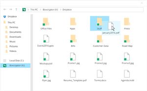 Capture d'ecran du logiciel Boxcryptor 2.55.2774 fr - Windows