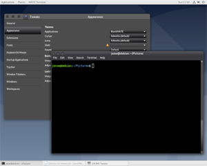 Capture d'ecran du logiciel Debian 13.4.0 - CD