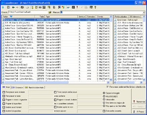 Capture d'ecran du logiciel Lupas Rename 5.0 fr