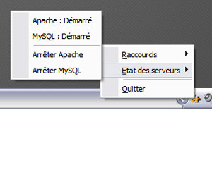 Capture d'ecran du logiciel Mov'AMP 0.6 fr