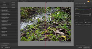 Capture d'ecran du logiciel Nik Collection 1.2.11