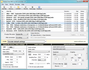 Capture d'ecran du logiciel Pazera Free MKV to AVI Converter Portable 1.10 fr