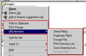 Capture d'ecran du logiciel RjhExtensions 1.3