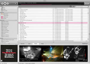 Capture d'ecran du logiciel Songbird Portable 2.2.0 Build 2453 fr