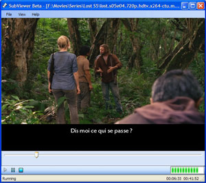 Capture d'ecran du logiciel SubViewer 4.0.5