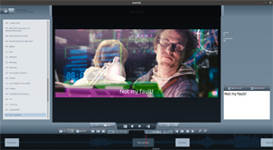 Capture d'ecran du logiciel Subtitld Portable 2026.04.23.1305