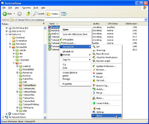 Capture d'ecran du logiciel TortoiseSVN 1.14.9.29743 fr