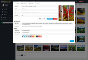 Capture d'ecran du logiciel Yetishare File Hosting Script 5.6.0