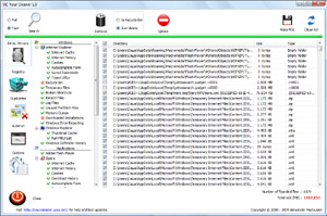 Capture d'ecran du logiciel Your Cleaner 1.11